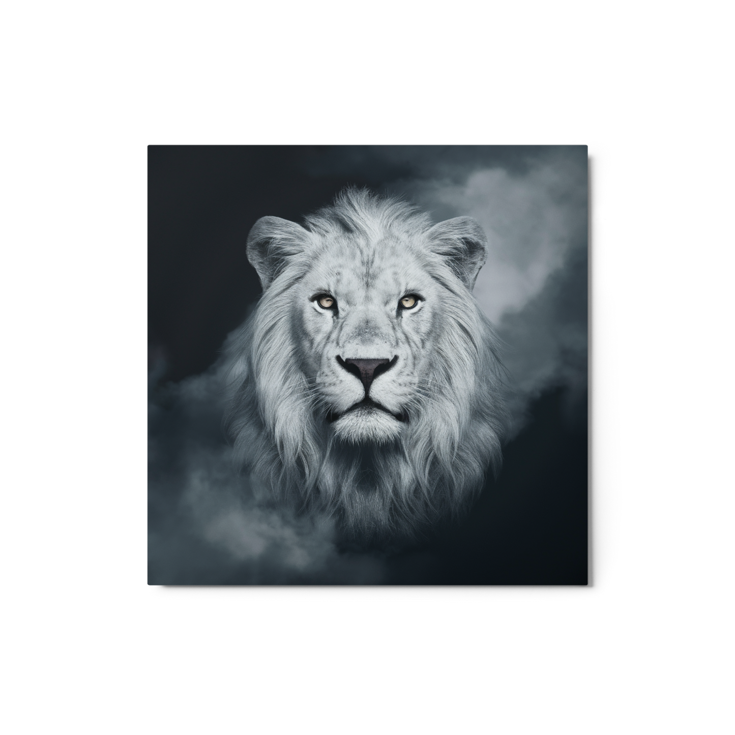 Regal Majesty: The White Lion