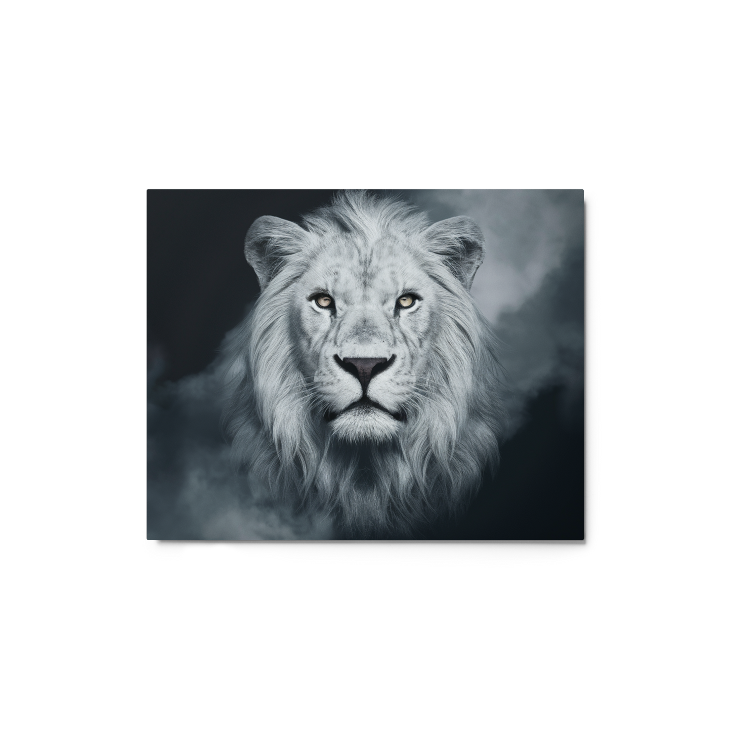 Regal Majesty: The White Lion